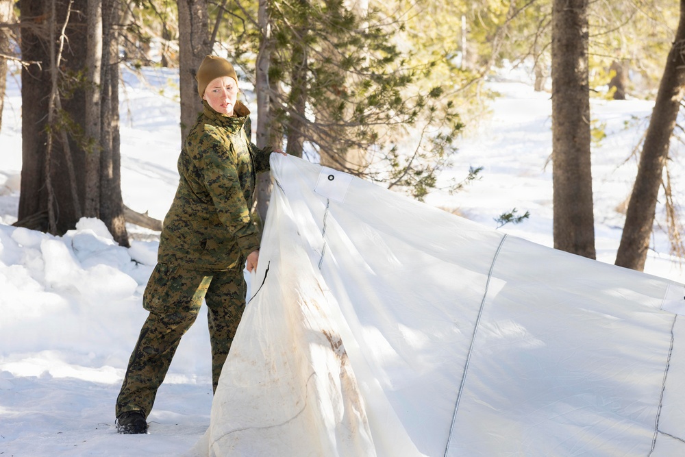 MTX 1-26 | Combat Logistics Battalion 24 Camp Retrograde