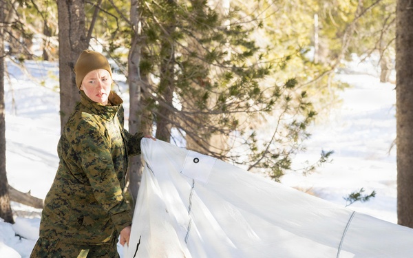 MTX 1-26 | Combat Logistics Battalion 24 Camp Retrograde