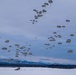 Arctic Angels soar with Canadian Army Paratroopers