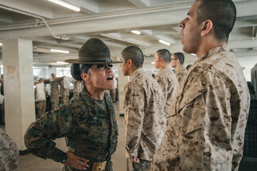 Hotel Company Pick-Up