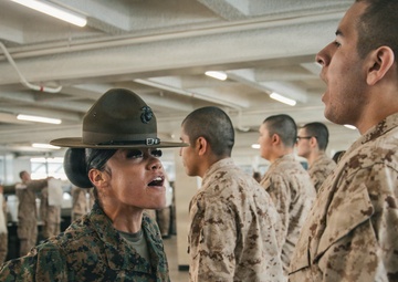 Hotel Company Pick-Up