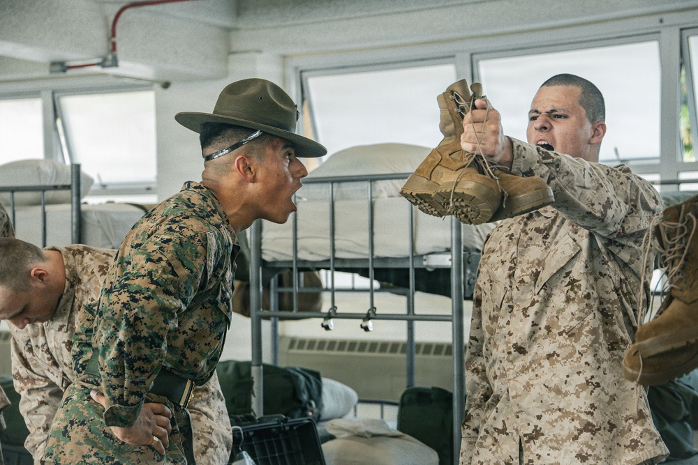 Hotel Company Pick-Up