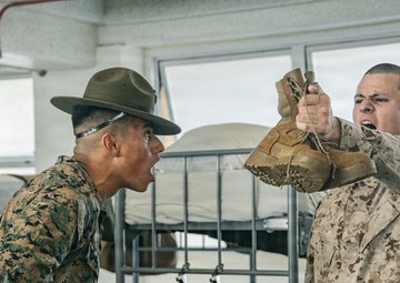 Hotel Company Pick-Up