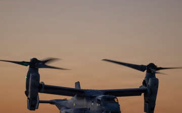 U.S. Marines with VMM-261 transport cargo