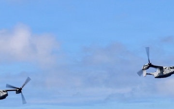 22nd MEU(SOC) | BLT 3/6 and DSS Quick Reaction Force Training