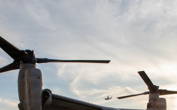 24th MEU CERTEX: VMM-365 TRAP