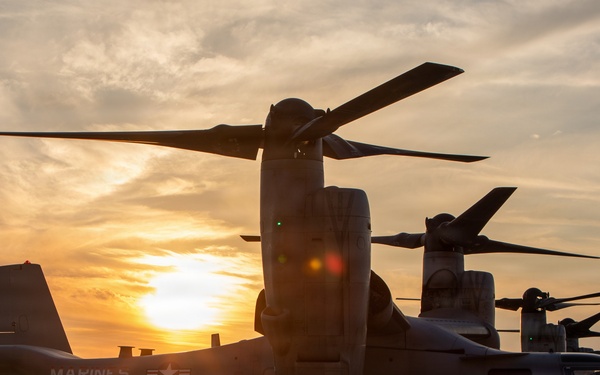 24th MEU CERTEX: VMM-365 TRAP