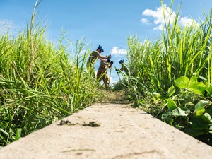 Pacific Pulse: August 9