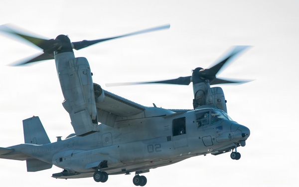 24th MEU CERTEX: CASEVAC Exercise