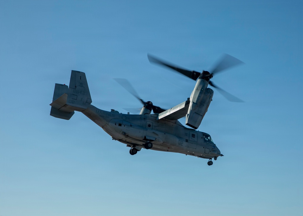 24th MEU CERTEX: CASEVAC Exercise