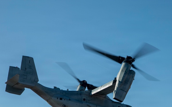 24th MEU CERTEX: CASEVAC Exercise