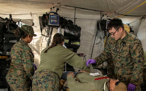 24th MEU CERTEX: CASEVAC Exercise