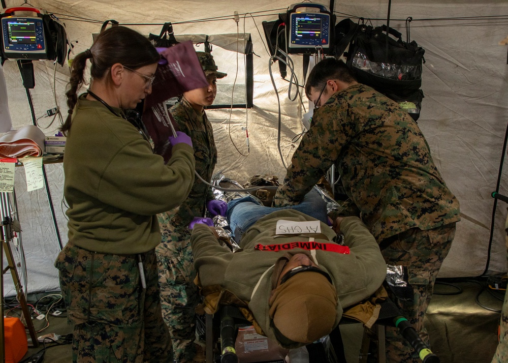 24th MEU CERTEX: CASEVAC Exercise