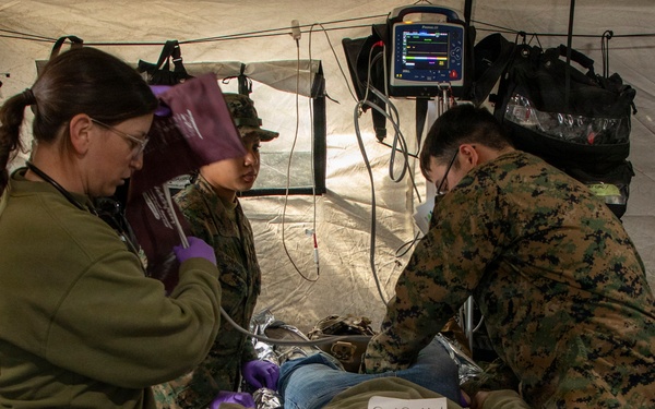 24th MEU CERTEX: CASEVAC Exercise