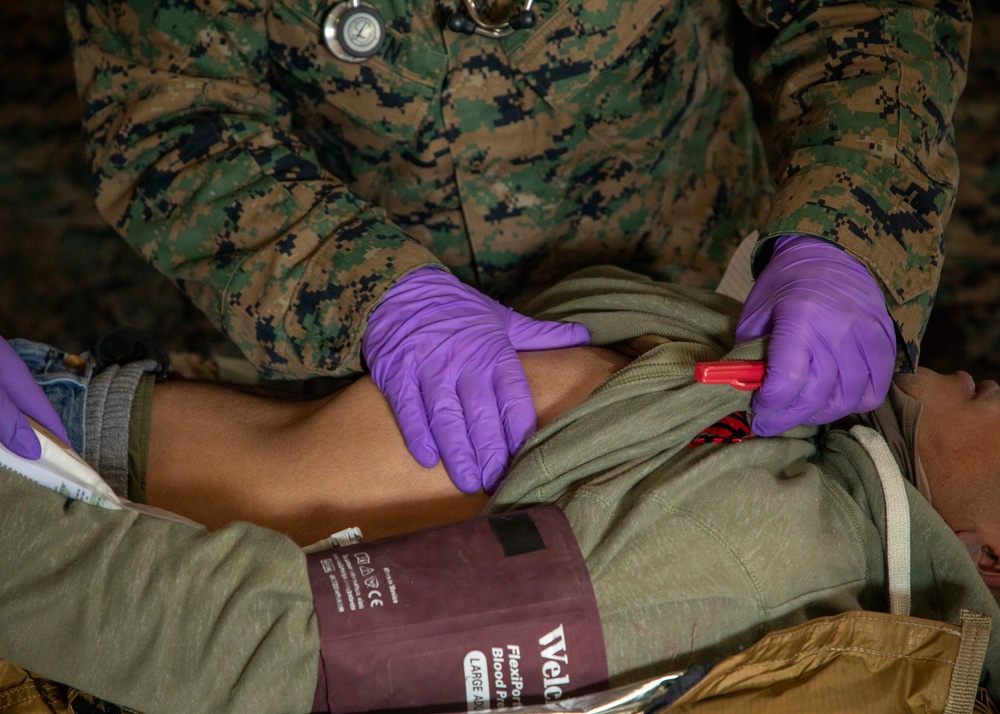 24th MEU CERTEX: CASEVAC Exercise