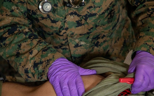 24th MEU CERTEX: CASEVAC Exercise