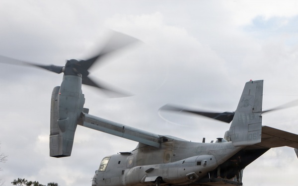 24th MEU CERTEX: Fast Roping