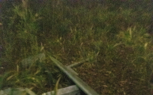 24th MEU CERTEX: U.S Marines with Lima Company Conduct a TRAP mission