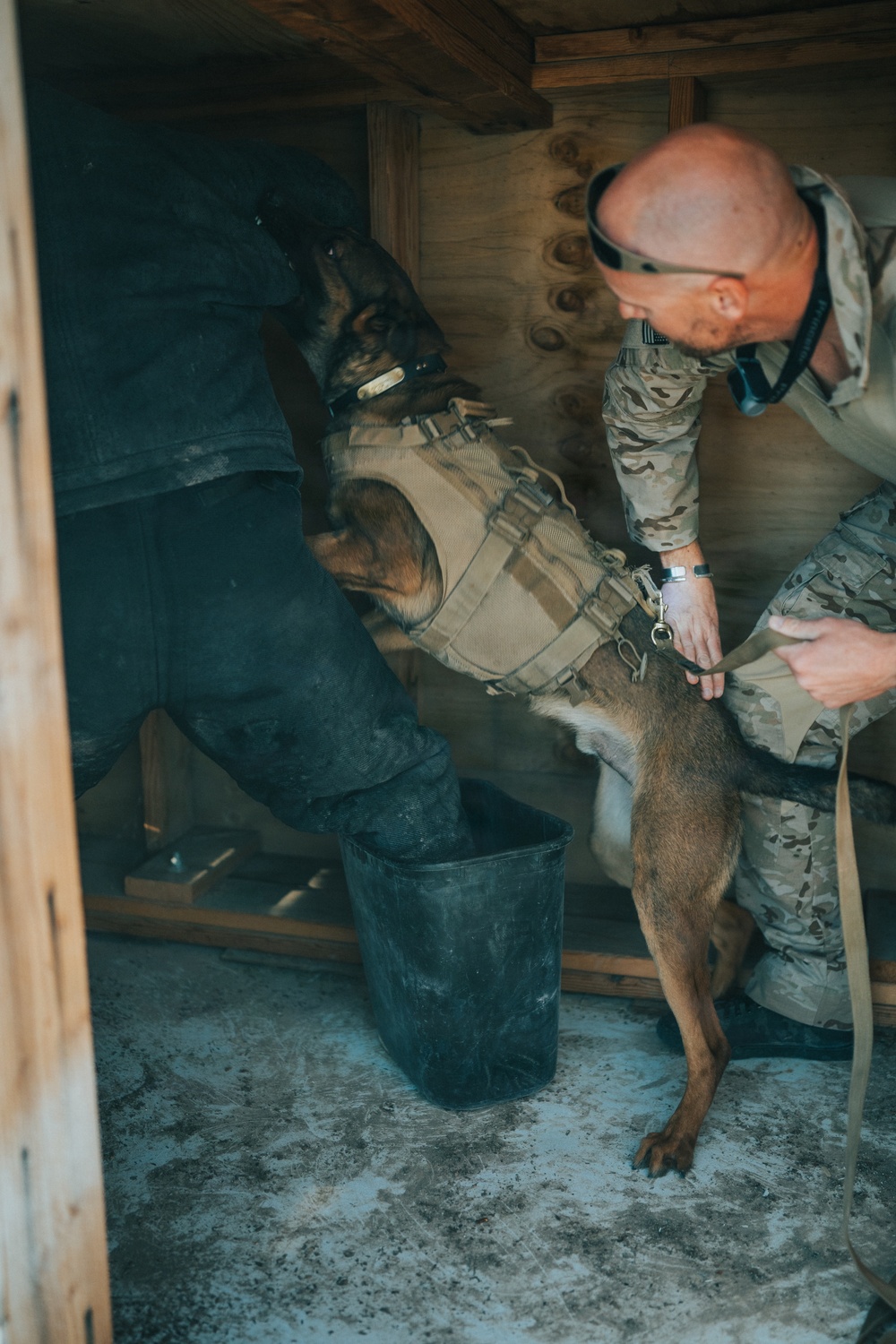 1SFG(A): Silent Eagle 2026 K9 Training