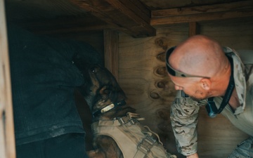 1SFG(A): Silent Eagle 2026 K9 Training