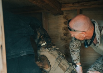 1SFG(A): Silent Eagle 2026 K9 Training