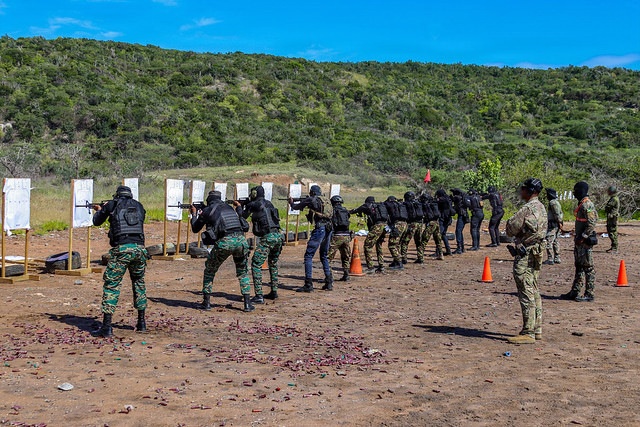 Tropical Dagger XIII