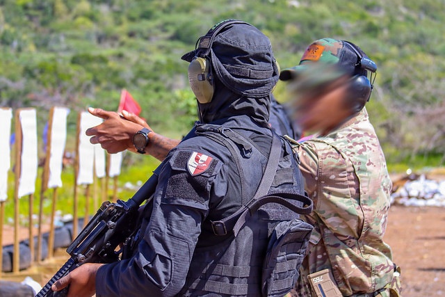 Tropical Dagger XIII