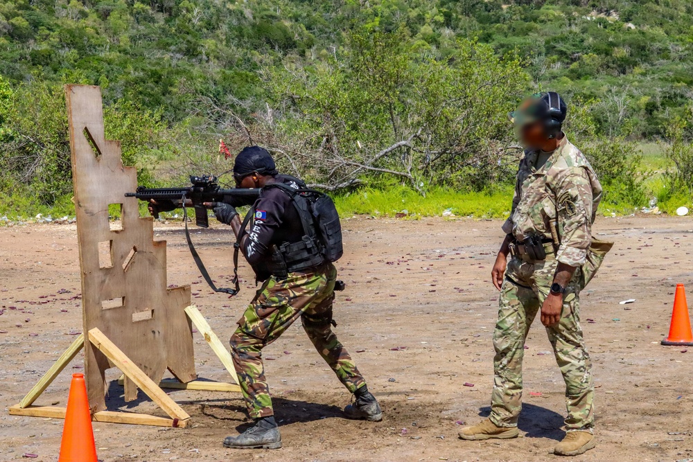 Tropical Dagger XIII