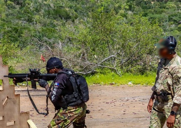 Tropical Dagger XIII