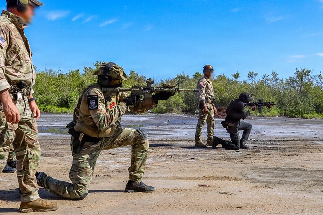 Tropical Dagger XIII