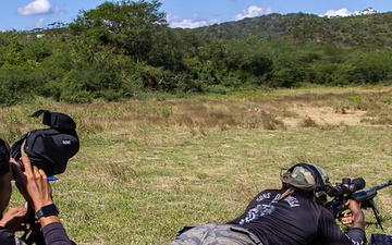 Tropical Dagger XIII