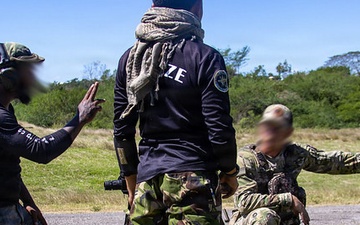 Tropical Dagger XIII