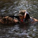 Jungle Operations Training Course - Panama: Jungle Waterborne Ops and Land Navigation