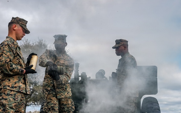 Presidents Day 21-Gun Salute