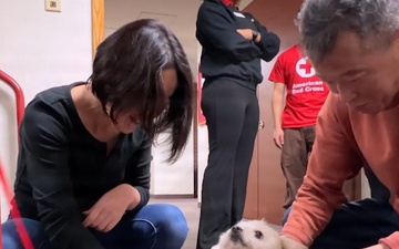 Therapy Dogs and Good Vibes: JED Coffee and Dog Cuddles Event