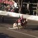 Marine Corps Mounted Color Guard