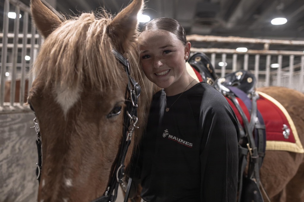 Marine Corps Mounted Color Guard