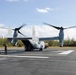U.S. Marines with VMM-261 transport cargo to The Bahamas