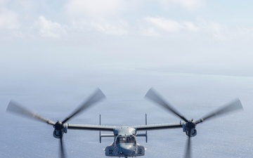 U.S. Marines with VMM-261 transport cargo to The Bahamas