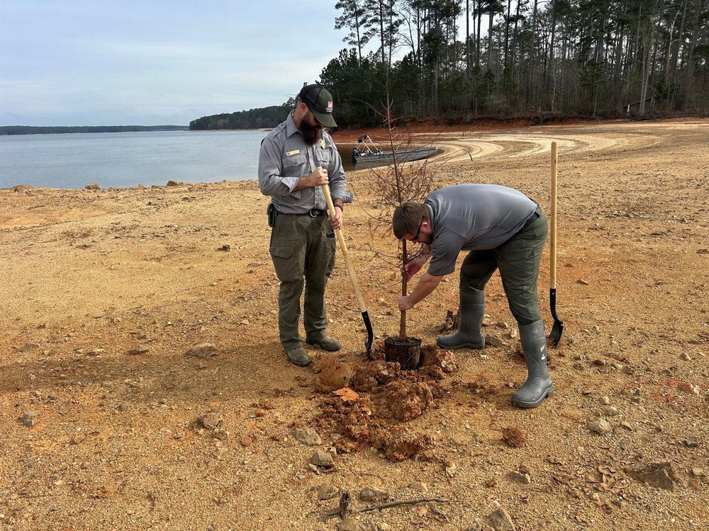 Strong Roots, Safer Waters: Cypress Trees Planted at Thurmond Lake