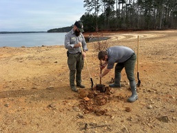 Strong Roots, Safer Waters: Cypress Trees Planted at Thurmond Lake