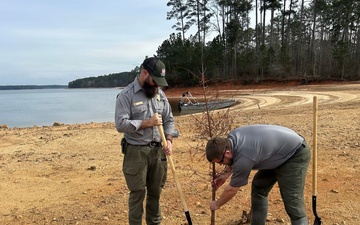 Strong Roots, Safer Waters: Cypress Trees Planted at Thurmond Lake