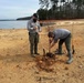 Strong Roots, Safer Waters: Cypress Trees Planted at Thurmond Lake