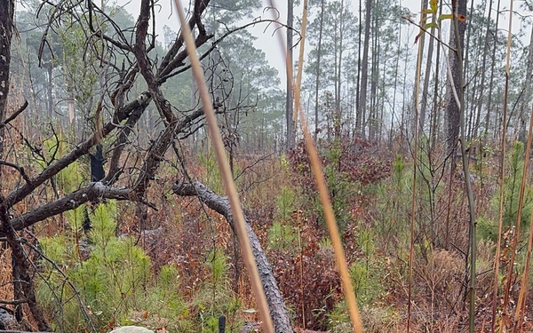 11th Cyber Battalion Executes Hellhound Week to Sharpen Warrior Skills 04