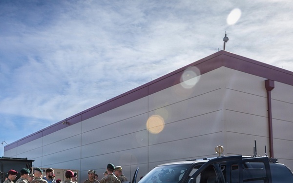 The Originals brief DVs during Ivy Sting VI