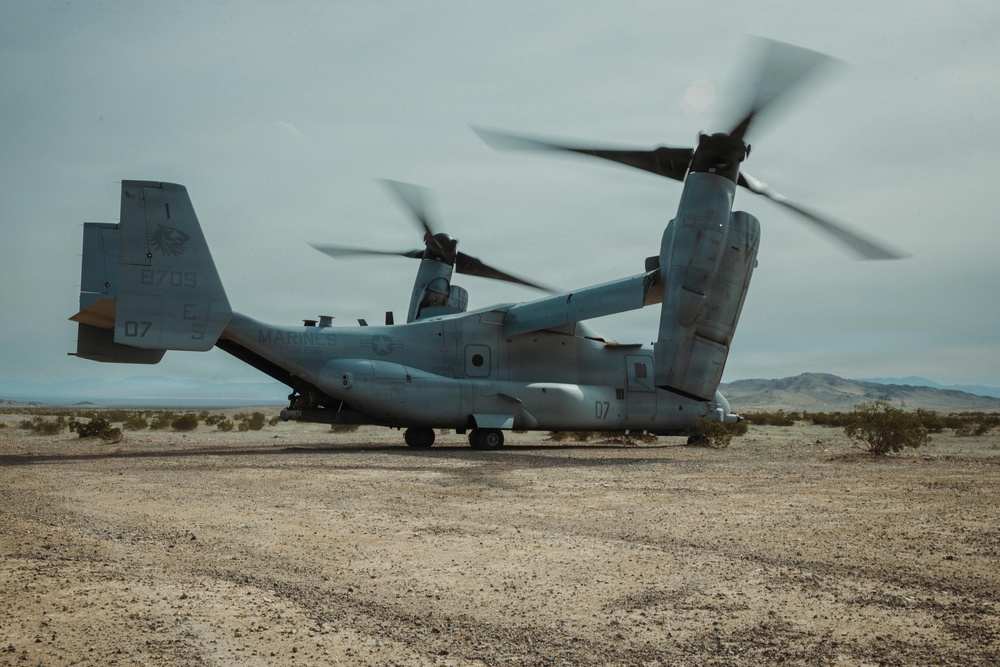 CLB-7 and 4th LEB Conduct LCE FWD Movement Training During SLTE 1-26