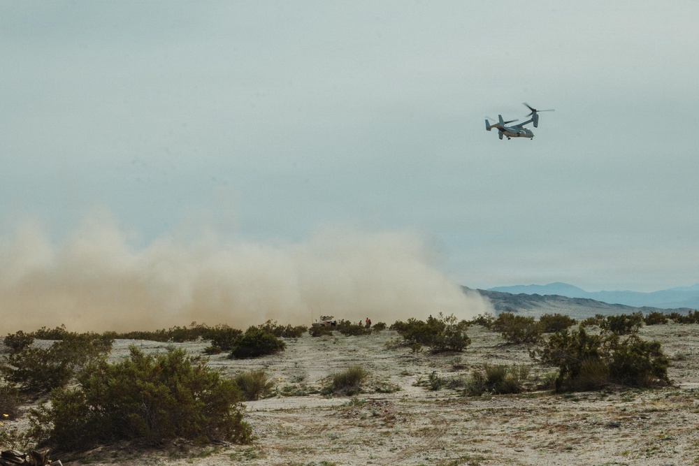 CLB-7 and 4th LEB Conduct LCE FWD Movement Training During SLTE 1-26