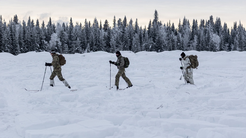10th SFG(A) cross-country ski maneuvering techniques