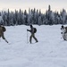 10th SFG(A) cross-country ski maneuvering techniques