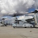 VMM-164 transports HMLA-367 Marines
